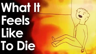 What It Feels Like To Die  (Animated Short)