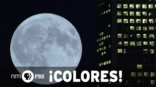 NMPBS ¡COLORES!: Godfrey Reggio