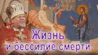Жизнь и бессилие смерти. Проповедь священника Георгия Полякова