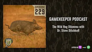 EP:229 | The Wild Hog Dilemma with Dr. Steve Ditchkoff