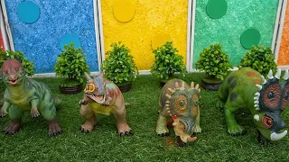 Learn Dinosaurs Names for Kids With Color Balls | Tyrannosaurus Rex | Carnotaurus | Sinoceratops |