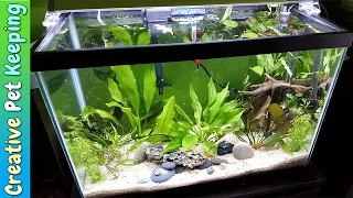 HOW TO setup a 20 Gallon Planted Aquarium 🌱🌿💧 Substrate and Supplies