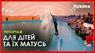Харківські малюки зустрілися з мешканцями морських глибин у дельфінарії