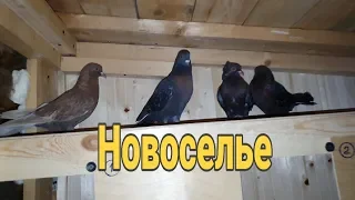 Бывает, день не задался 🤔//Дожить бы до вечера