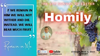 Remain in Me | Homily for the 5th Sunday of Easter with Fr. Jerry Orbos, SVD