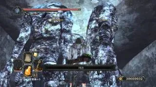 冰凍的埃斯‧洛耶斯(DLC3) 城牆內部不觸發吸魂巨人的對策