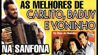 AS MELHORES DE CARLITO E BADUY NA SANFONA (HOMENAGEM AO BADUY)