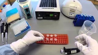 DNA Extraction Protocol - Part 1