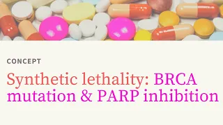 💊 Synthetic Lethality: Inhibition of PARPs in BRCA1 and BRCA2 gene mutation Cancers 🛑