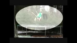 Tumbling on the trampoline SWIMMING POOLS KENDRICK LAMAR LYRICS