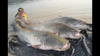 Sommerfischen auf die Giganten des Po