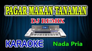 Pagar Makan Tanaman Remix Karaoke Mansyur S HD Audio Nada Pria