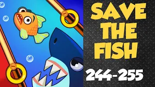 Fishdom | Save the Fish Game | Help the Fish Game | Minigame | Level 244-255