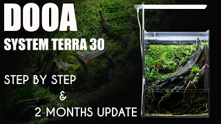 How to set up a paludarium + 2 months update /// Dooa System Terra 30