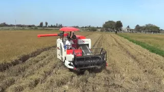 mini combine harvester in peru