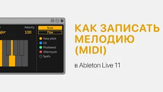 Как записать мелодию MIDI в Ableton Live 11 [Ableton Pro Help]