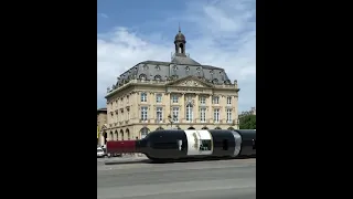 Wine bus 😂 A tram of Bordeaux France #shorts