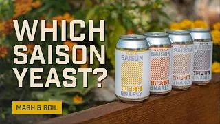 Which Saison Yeast Should I Use? EP34