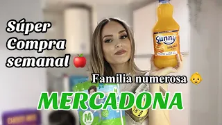 SÚPER COMPRA SEMANAL MERCADONA 🍎 Compra semanal Familia Numerosa 👶