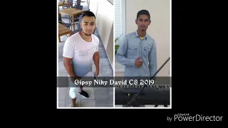 Gipsy Niky David Tu Džanes Mamo C8 2019