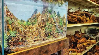 Great British Aquascape Store Tour - Crowder's Aquatics