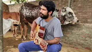 Playing music for cows