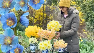 Daffodil Garden Tour & Blue Poppy Sneak Peek at Longwood Gardens😍