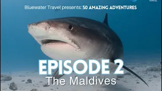 50 Amazing Adventures, Episode 2: Diving the Maldives