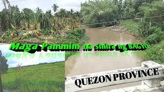 PANANIM NA SINIRA NG BAGYO SA QUEZON PROVINCE