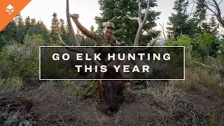 How To Guarantee An Elk Tag In Your Pocket