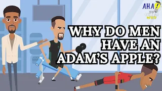 Why Do Men Have an Adam’s Apple?