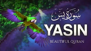 Surah Yaseen for Barkat ki Dua | Protection from Evil eye| Morning Tilawat