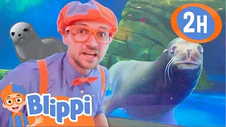 Blippi Visits Aquariums Around the Country! | 2 HOURS OF BLIPPI TOYS! | Educational Videos for Kids