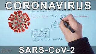 Coronavirus | SARS CoV-2