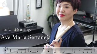 Luiz Gonzaga | Ave Maria Sertaneja | Instrumental by Yayoi FLUTE(Fife Pífano)