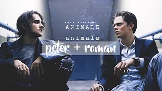 peter & roman | animals