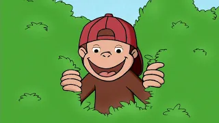 Georges le Petit Singe 🐵 George apprend comment attraper les lapins en fuite 🐵 Dessins Animés