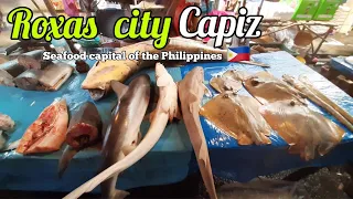 ROXAS CITY PUBLIC MARKET TOUR in 2022 | A Visit to Capiz,Philippines | ISLANDER'S VLOG