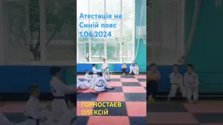 СК Арарат Горностаєв Олексій Синій пояс Атестація