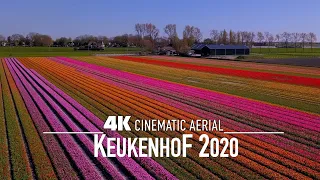 KEUKENHOF 🇳🇱 AMSTERDAM 4K Drone 2020 World's Largest Tulip Fields