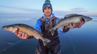 Early Ice Walleye Fishing RED LAKE! | GARMIN PANOPTIX!