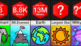 Comparison: The BIGGEST Things In The Universe