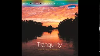 Tender Emotions - Tranquility (Abhijit Pohankar, Rakesh Chaurasia, Rupak Kulkarni)