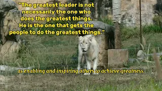 #EmotionalIntelligence#LeadingByExample#Innovation#StrategicLeadership#GreatLeaders