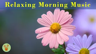 🌼Relaxing Morning Music to Boost Positive Vibes- Study Music Calm Music, Chill Music, Relaxing Music