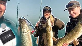 Best PIKE FISHING Of My Life! 100 Pike In One Day!? 🐊🔥