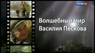 Таежный сталкер. Волшебный мир Василия Пескова (2010)