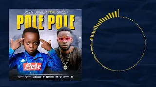 petit junior X shizzy pole pole