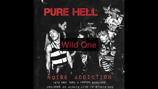 Pure Hell live on ny cable tv 1978 (audio)