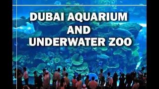 Explore Dubai Aquarium & UnderWater Zoo | Aan Tourism